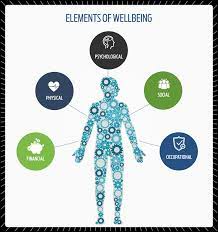 The Key Elements Of Holistic Well-Being: 